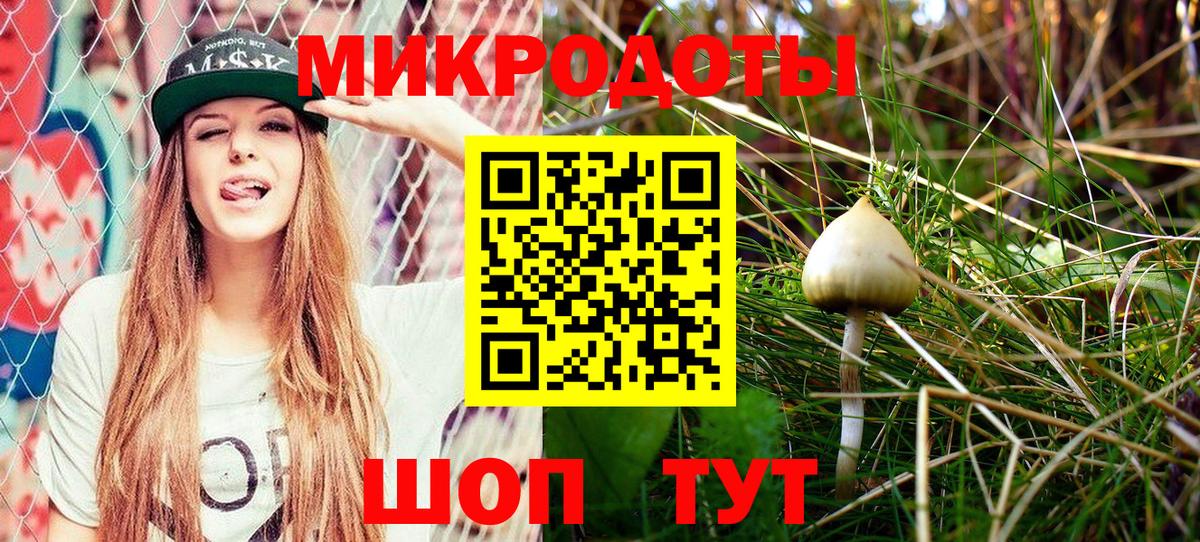 Балтийск  Галлюциногенные грибы Psilocybe  Вход с VPN 