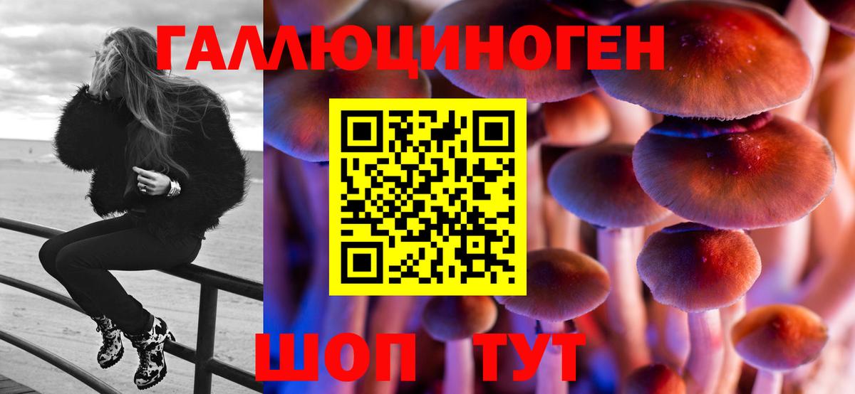 Псилоцибиновые грибы Cubensis Балтийск